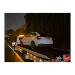 Çoklu Araç Taşıma ve Lojistik Hizmeti (2'li / 4'lü / 9'lu Oto Taşıyıcı) Tech Çekici-1